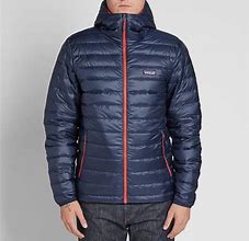 Image result for Men's Style Patagonia Down Sweater