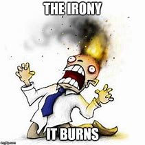 Image result for The Irony It Burns