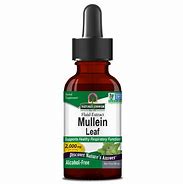 Image result for Mullein Leaf Liquid Extract Alcohol Free, 2 Fl Oz (59 Ml) Dropper Bottle, 2 Dropper Bottles