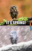 Image result for Spring Is Almost Here Meme