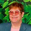 Image result for Elton John Star Glasses Silhouette