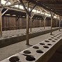 Image result for Auschwitz Concentration Camp