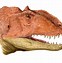 Image result for Dinosaur Fangs