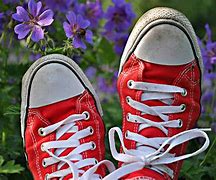 Image result for Lace Converse High Tops