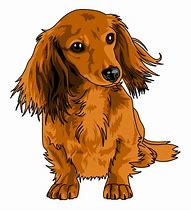 Image result for Dog Hair Cartoon