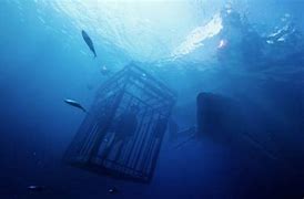 Image result for Claire Holt 47 Meters Down