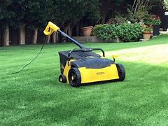 Image result for Electric Lawn Sweeper