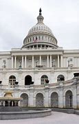 Image result for U.S. Capitol Podium Guy