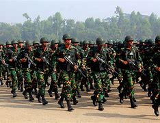 Image result for Bangladesh Victory Daywith Bangladesh Picture