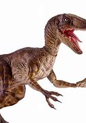 Image result for Jurassic Park Action Figures