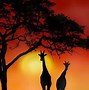 Image result for Bilder Afrika Landschaft