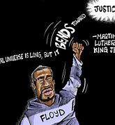 Image result for Anti Race Mixing Cartoon