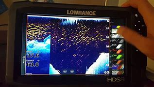 Image result for Lowrance Fish Reveal
