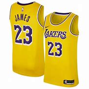 Image result for LA Lakers LeBron James Jersey