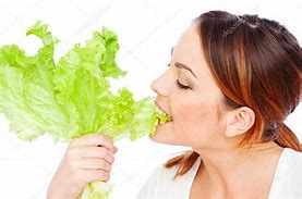 Image result for Eating Lettuce