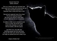 Image result for Cat Scratch Poem