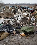Image result for Ukraine War Photos Graphic