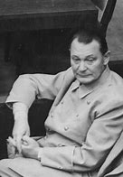 Image result for Hermann Göring