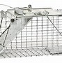 Image result for Easy Rabbit Trap
