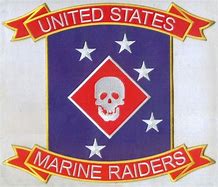 Image result for USMC MARSOC Marine Raiders Insignia