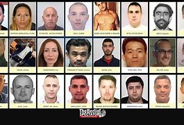 Image result for Interpol Most Wanted People