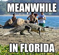 Image result for Florida Jokes