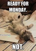 Image result for Funny Monday Animal Memes