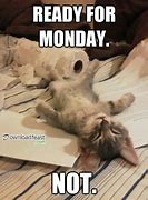 Image result for Happy Monday Funny