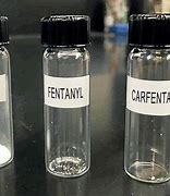 Image result for Carfentanil Strength