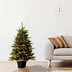 Image result for Christmas Trees at Lowe's Home Improvement