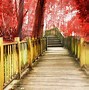Image result for Free Background Image Full HD
