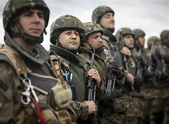 Image result for Romanian Land Forces