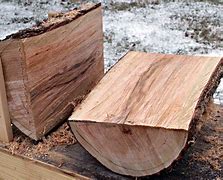 Image result for Wood Log Cut