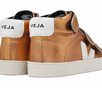 Image result for Veja Esplar Sneakers