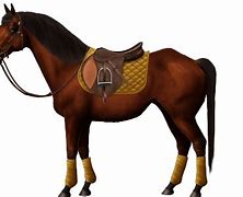 Image result for Seabiscuit Jockey