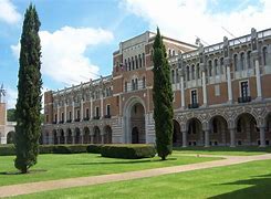 Image result for Rice University