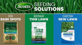 Image result for Ace Hardware Grass Seed