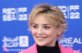 Image result for Sharon Stone activism