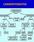 Image result for Carb Structure