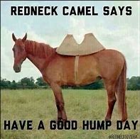 Image result for Redneck Hump Day Humor