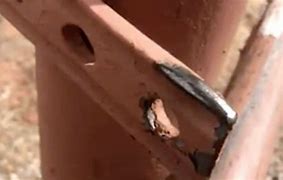 Image result for Arches National Park Gate Death
