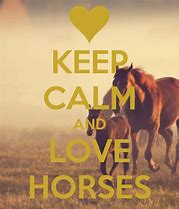 Image result for Keep Calm and Be Crazy Horse