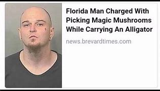 Image result for Florida Man August 22