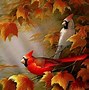 Image result for Microsoft Free Screensavers Fall