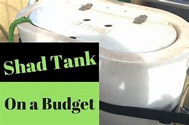 Image result for Shad Bait Tank