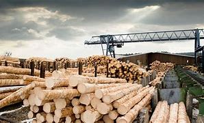 Image result for Milling Lumber