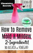 Image result for Best Way to Remove Mold