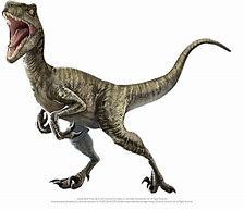 Image result for Jurassic World Velociraptor PNG