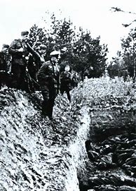 Image result for Einsatzgruppen Famous Photo
