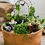 Image result for Container Fairy Garden